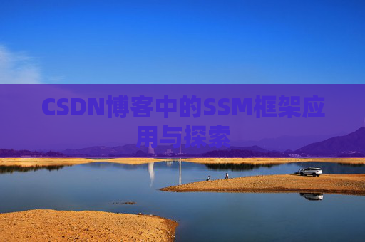 CSDN博客中的SSM框架应用与探索